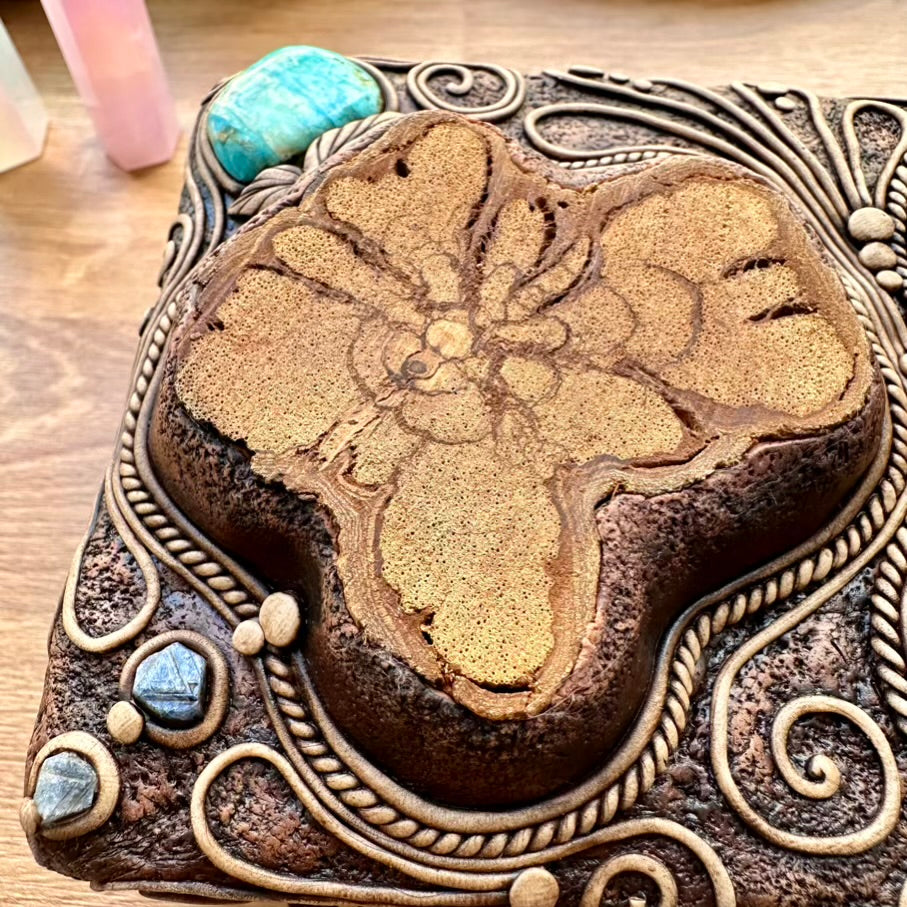 Wooden Box Decorated with Crystals, Handmade Crystal Box, Unique Home Decor with Crysocolla Malachite, Ayahuasca Slice, Labradorite, Atacama Opal, Blue Sapphire and Moldavite - FairyGardenGlow