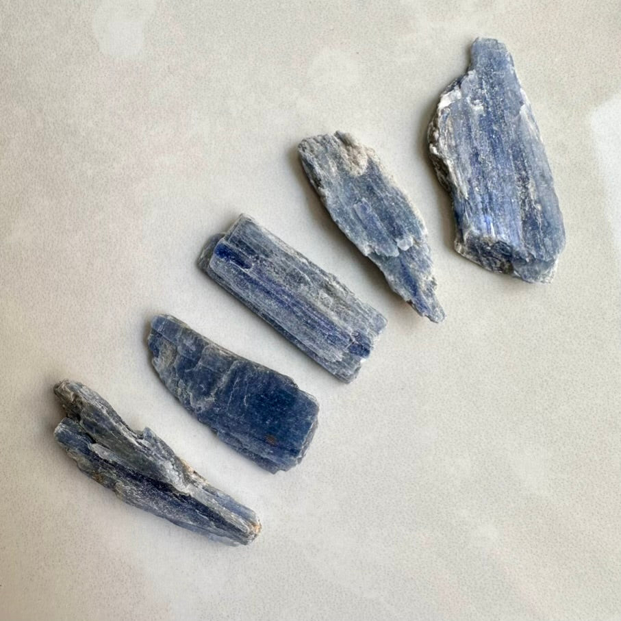 Five pieces of blue kyanite crystals on a light gray background