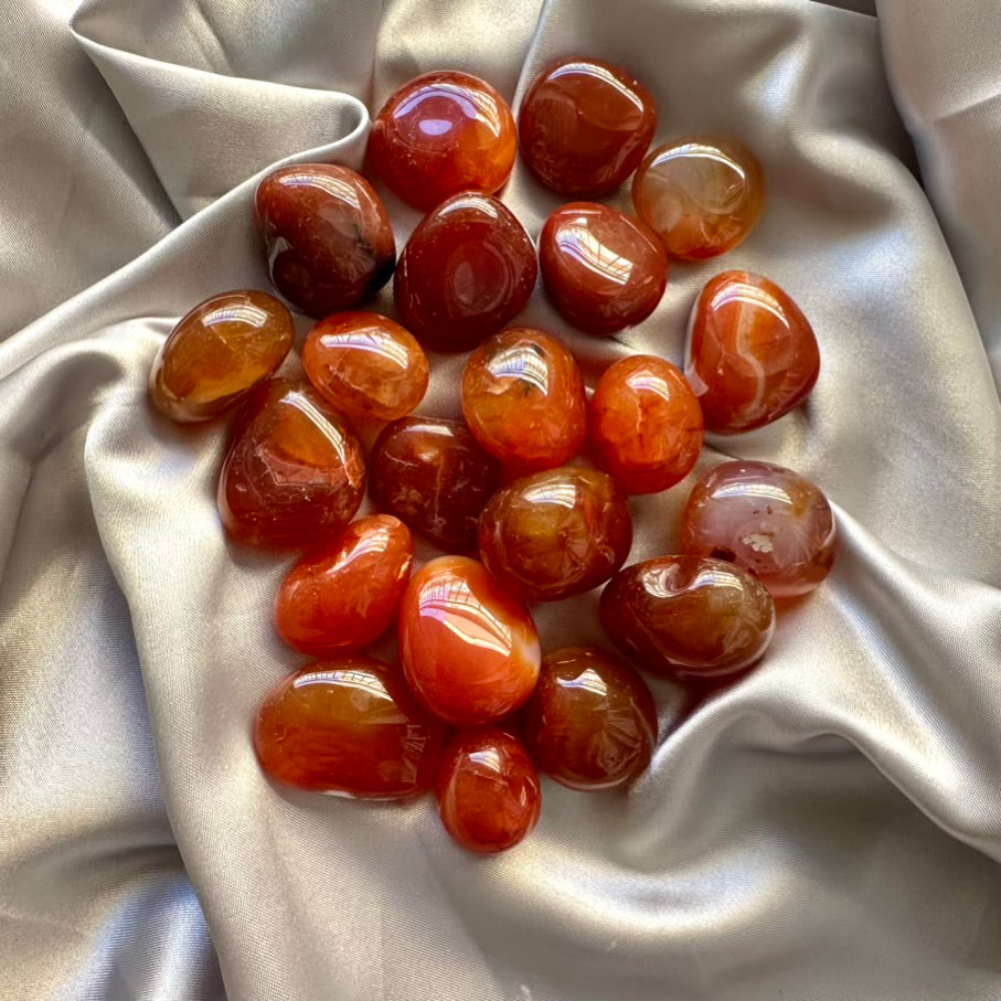 Carnelian Polished Stone - 5 pcs set - FairyGardenGlow