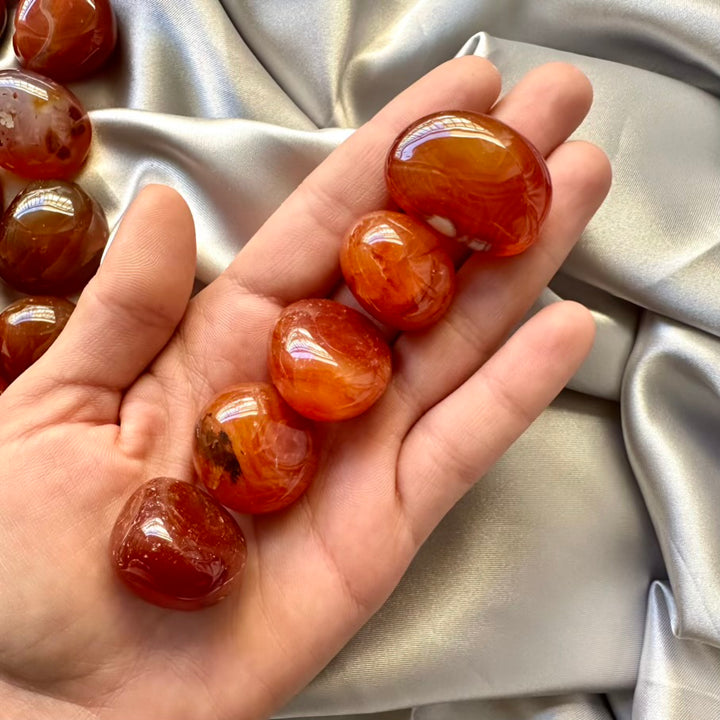 Carnelian Polished Stone - 5 pcs set - FairyGardenGlow