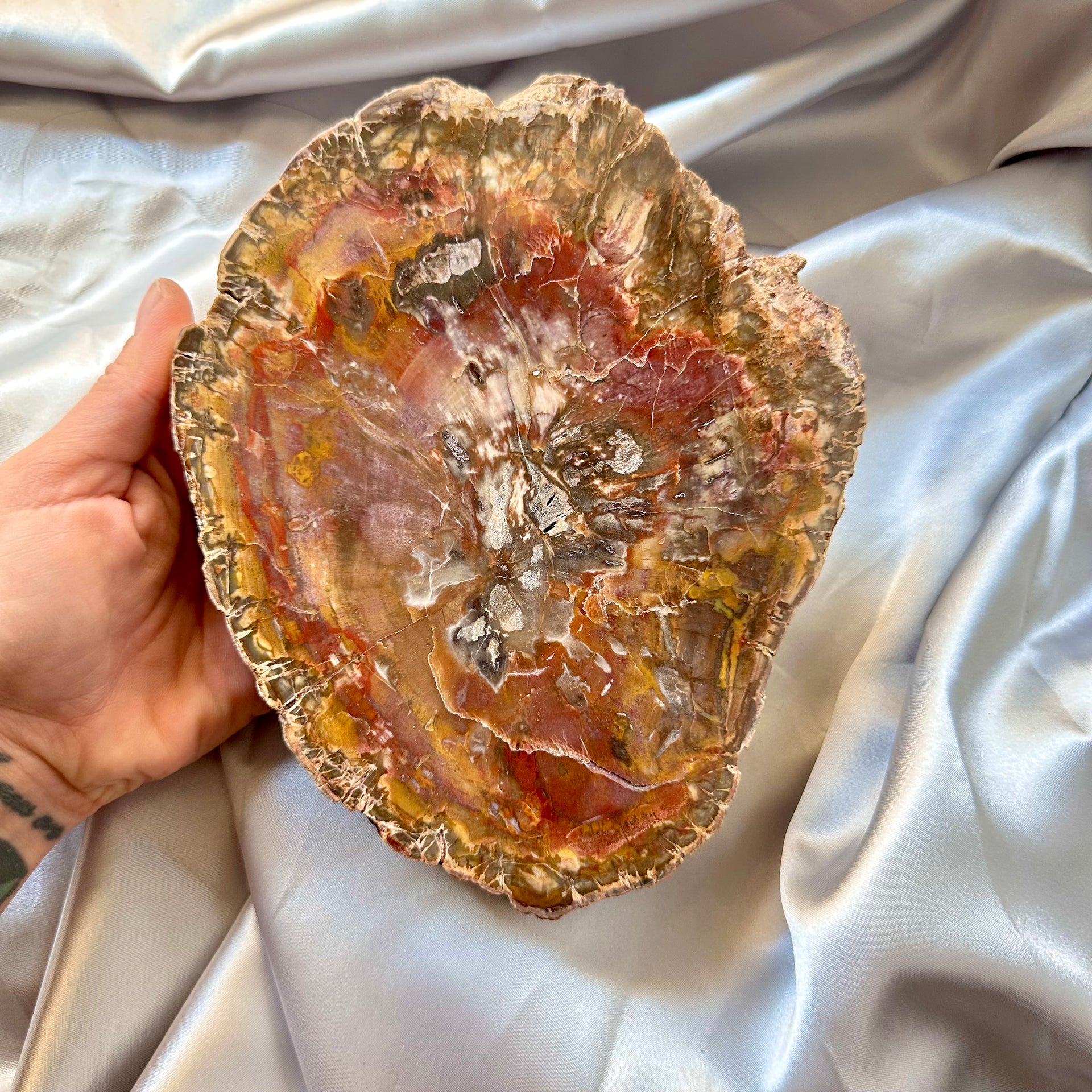 Large Petrified Wood Slice - Polished both sides - Unique - FairyGardenGlow