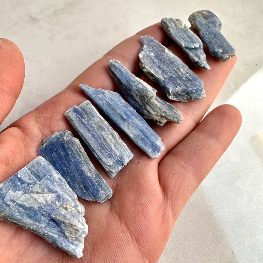 Hand holding several blue kyanite crystals against a neutral background