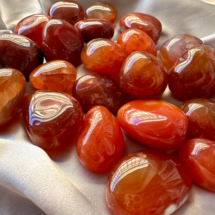 Carnelian Polished Stone - 5 pcs set - FairyGardenGlow