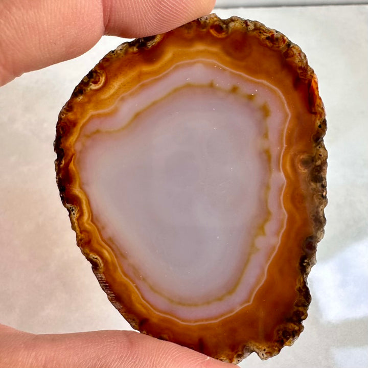 Close-up of a hand holding a polished agate stone with concentric layers of brown and white.