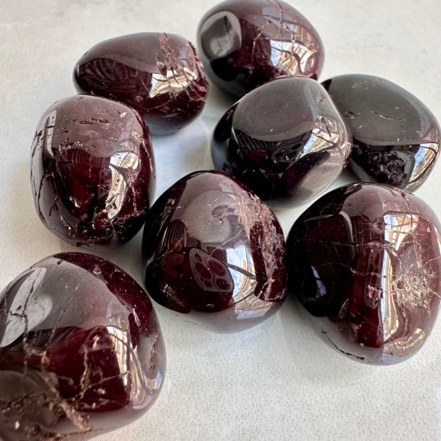 Glossy dark red garnet polished crystals on a light gray background