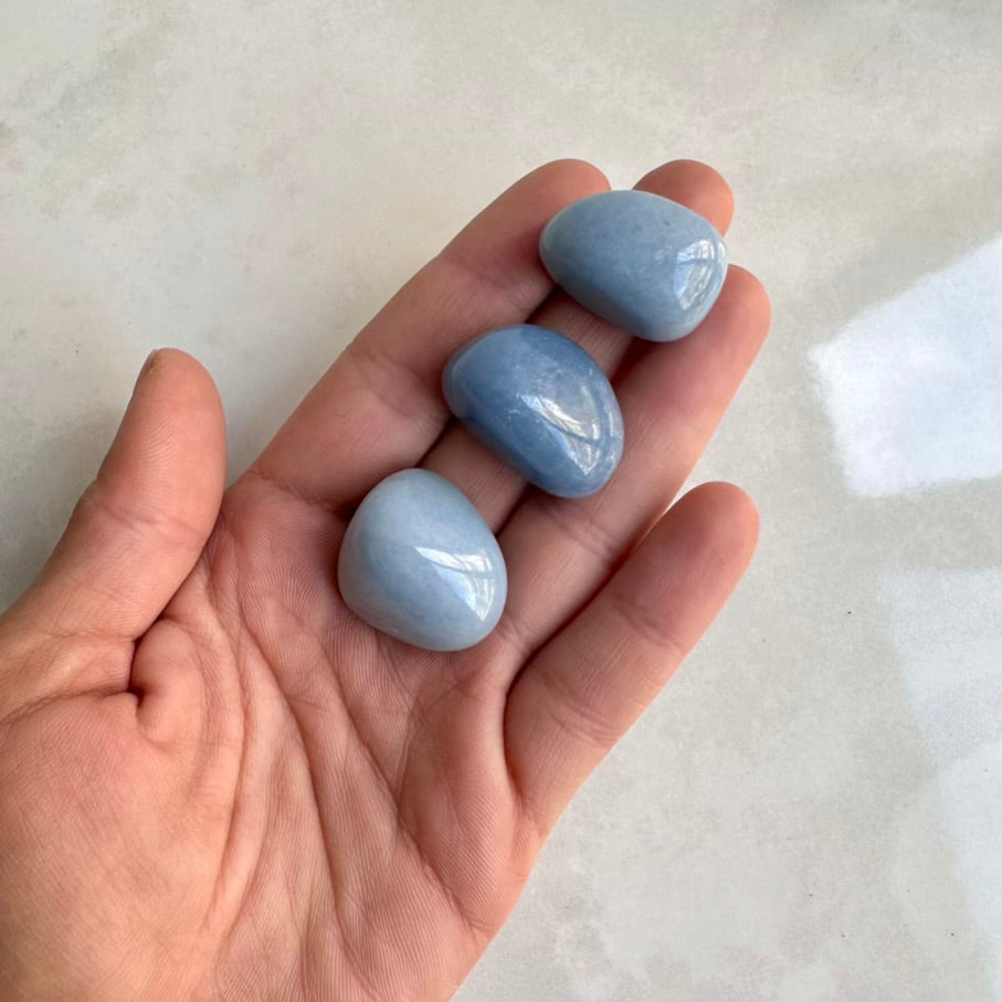 Hand holding four light blue angelite polished crystals on a neutral background