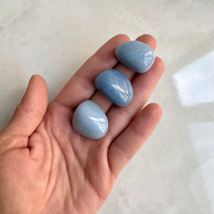 Hand holding four light blue angelite polished crystals on a neutral background