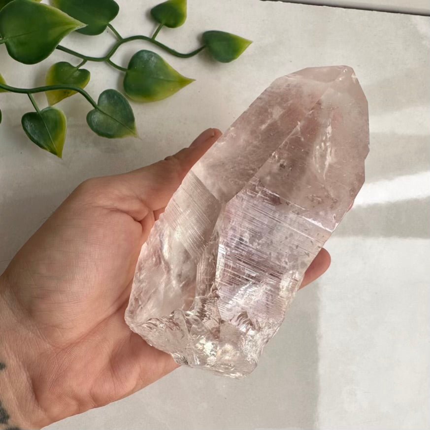 Large Lemurian Seed Quartz Point – Natural Lemurian Crystal for Spiritual Connection, Clarity & Higher Consciousness FairyGardenGlow
