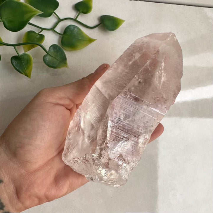 Large Lemurian Seed Quartz Point – Natural Lemurian Crystal for Spiritual Connection, Clarity & Higher Consciousness FairyGardenGlow