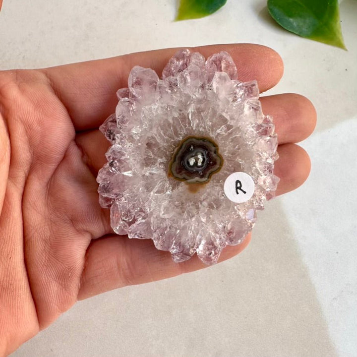Amethyst Stalactite Slice, Amethyst Healing Crystals, Natural Amethyst Flower FairyGardenGlow