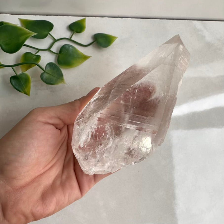 Large Lemurian Seed Quartz Point – Natural Lemurian Crystal for Spiritual Connection, Clarity & Higher Consciousness FairyGardenGlow