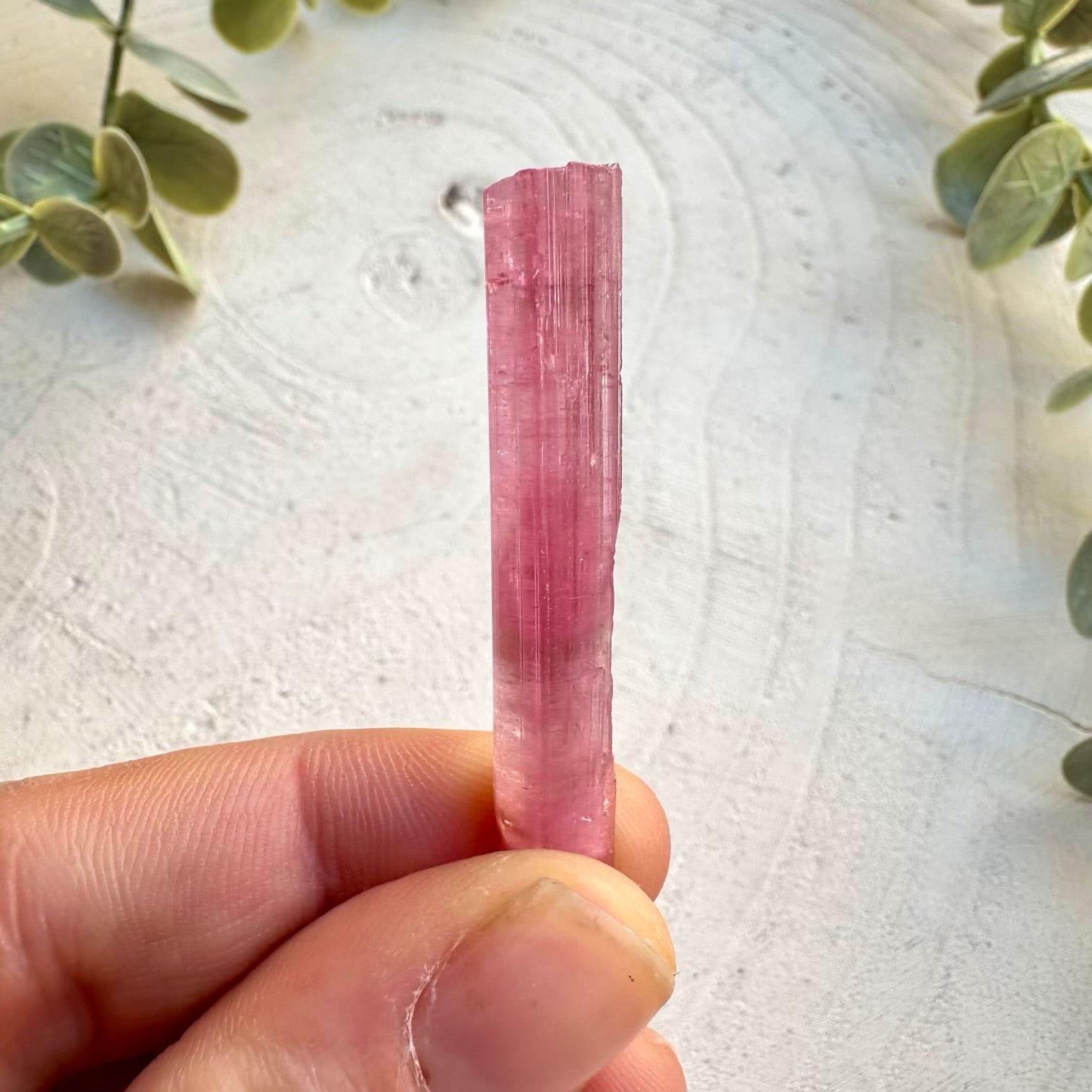 Raw pink tourmaline mineral crystal