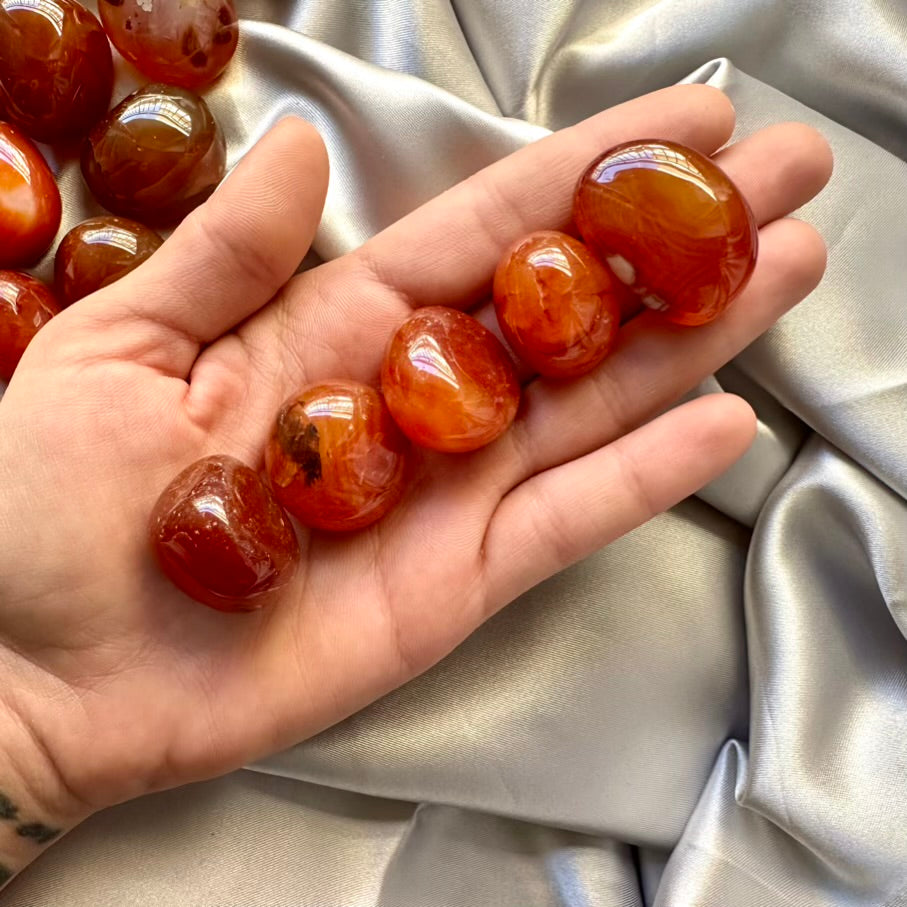 Carnelian Polished Stone - 5 pcs set - FairyGardenGlow