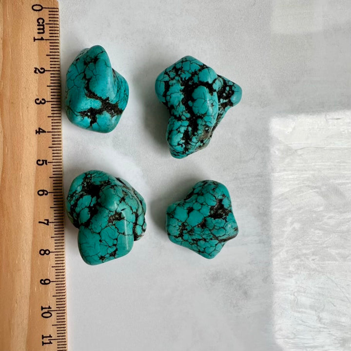 Raw natural turquoise stone for crafting or collecting