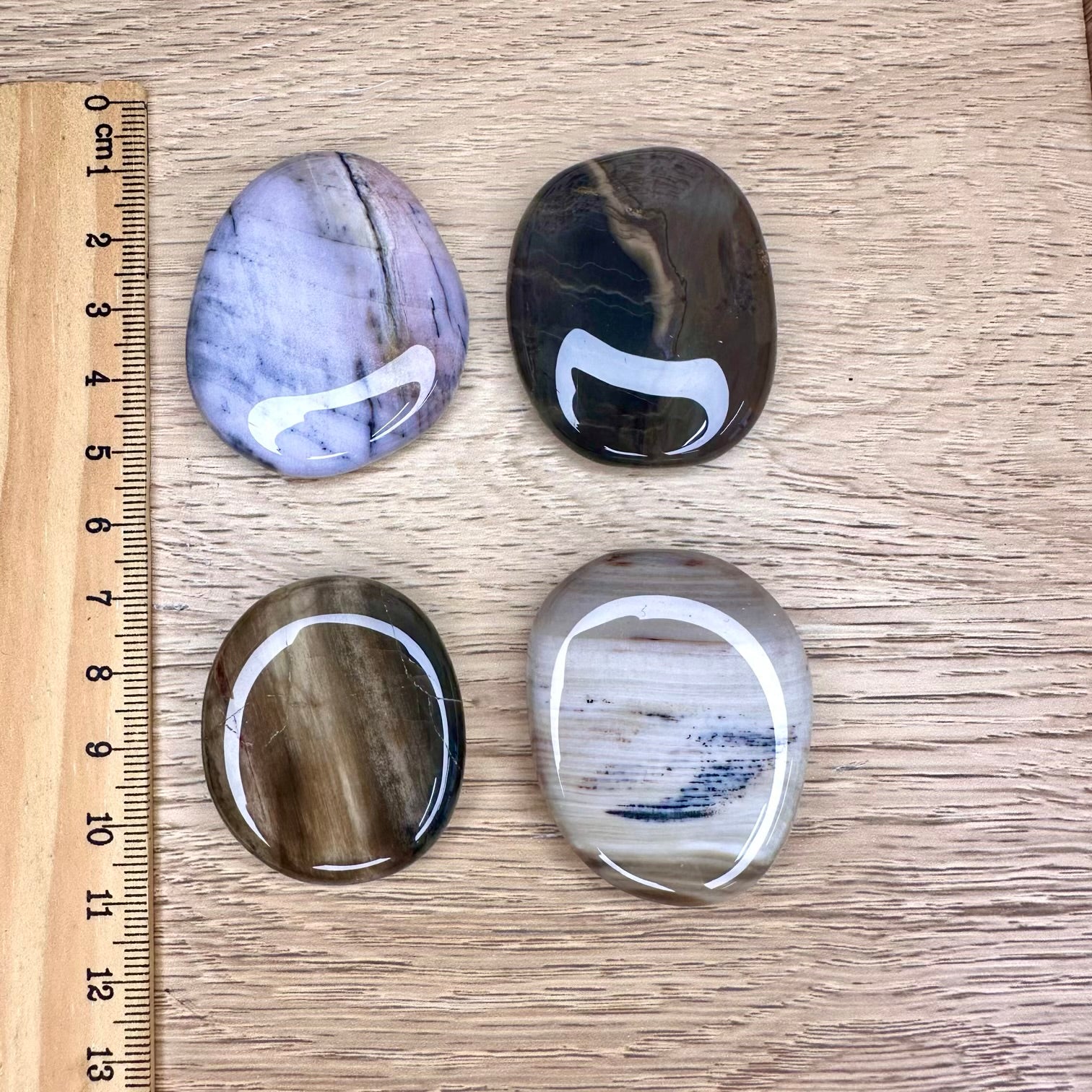 Healing fossil stone for calmness and grounding