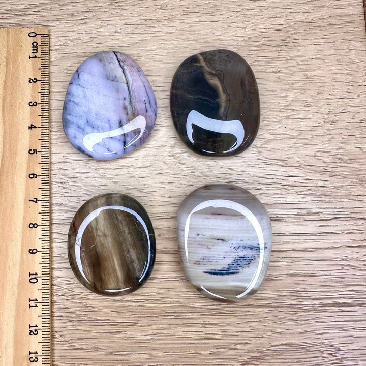 Healing fossil stone for calmness and grounding