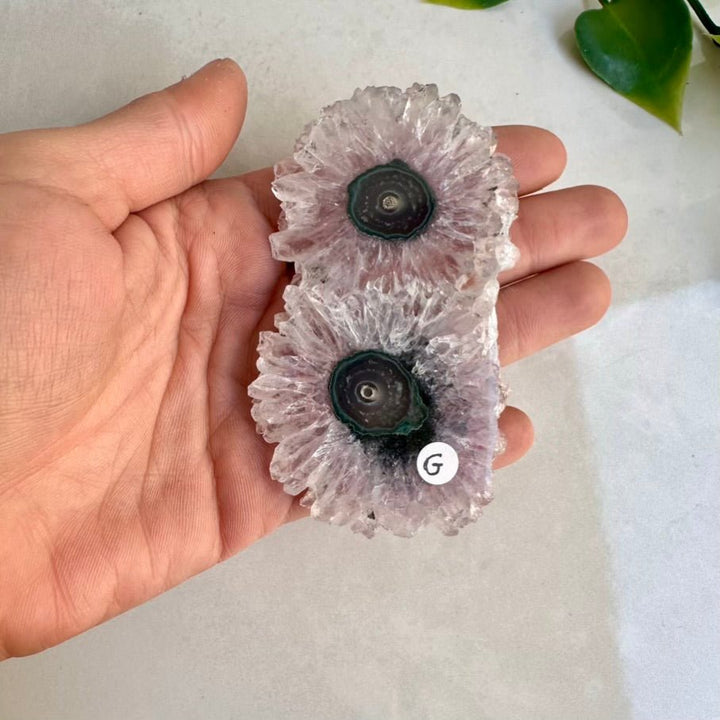 Amethyst Stalactite Slice, Natural Amethyst Flower, Large Amethyst Slice - FairyGardenGlow