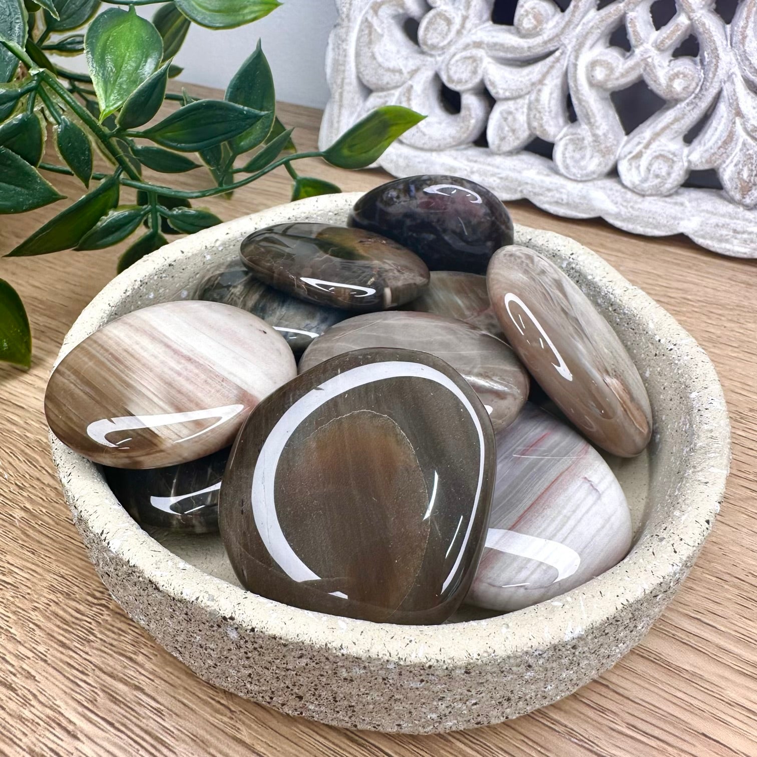 Fossilized wood healing crystal used for grounding meditation