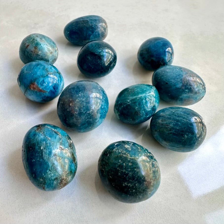 Blue Apatite Stone – Natural Polished Crystal for Motivation, Clarity & Manifestation (1 or 5 Pieces) - FairyGardenGlow