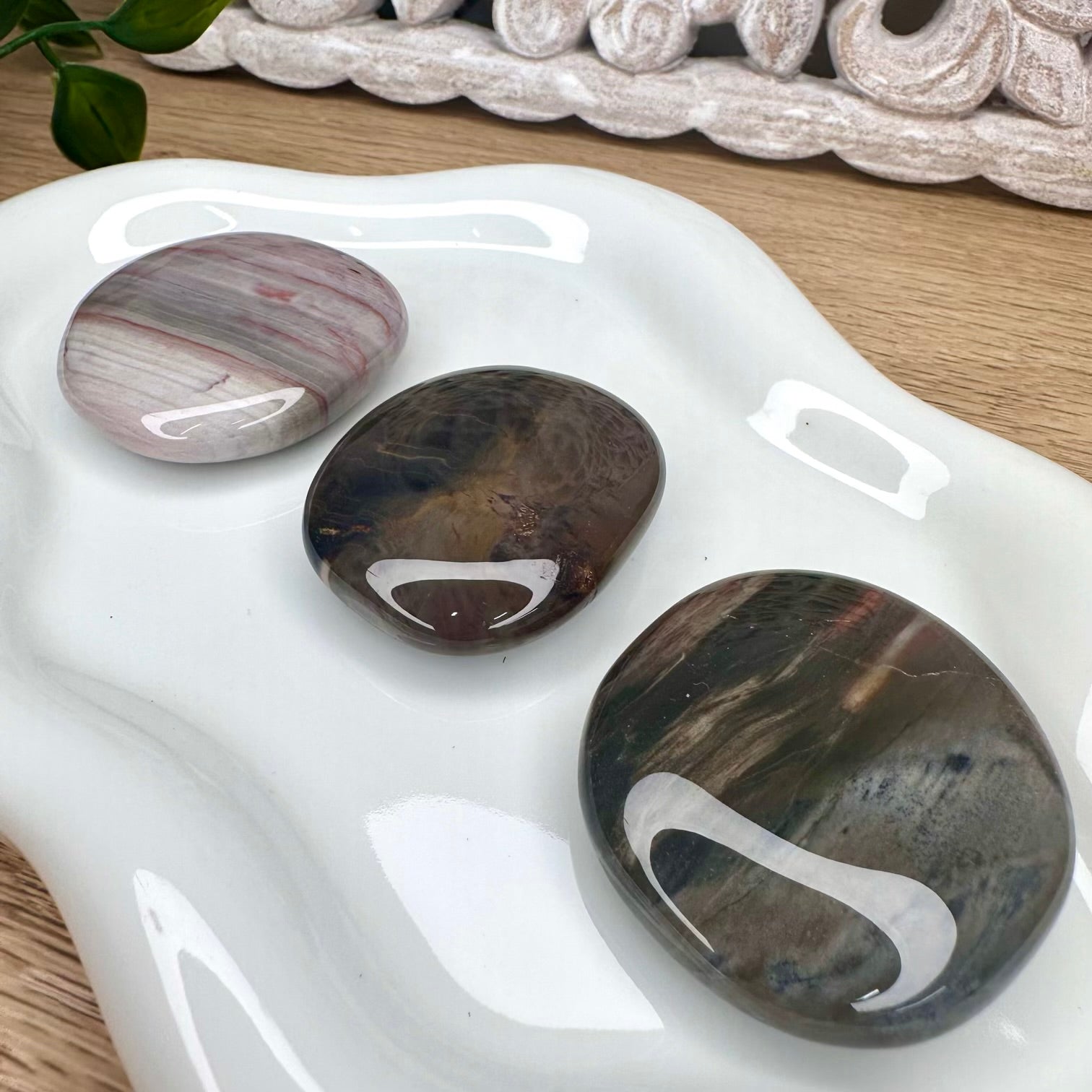 Smooth polished petrified wood stone for emotional balance