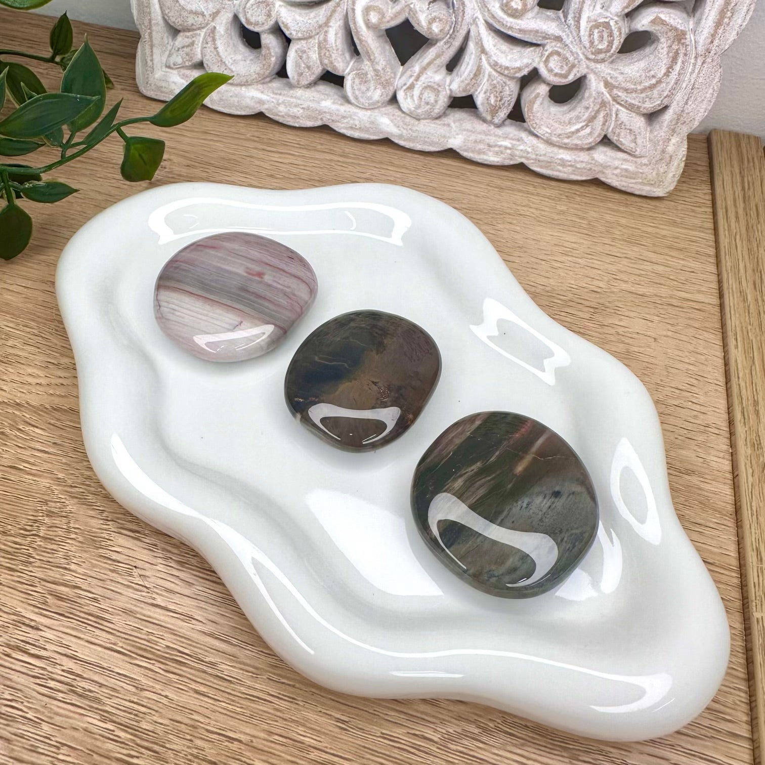 Natural petrified wood fossil crystal with earthy tones