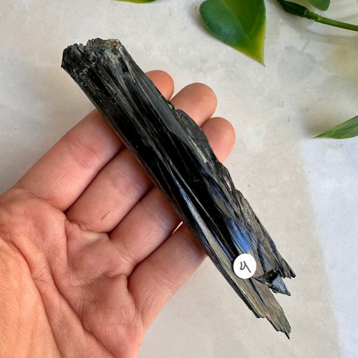 Large Vivianite crystal blade natural green healing specimen