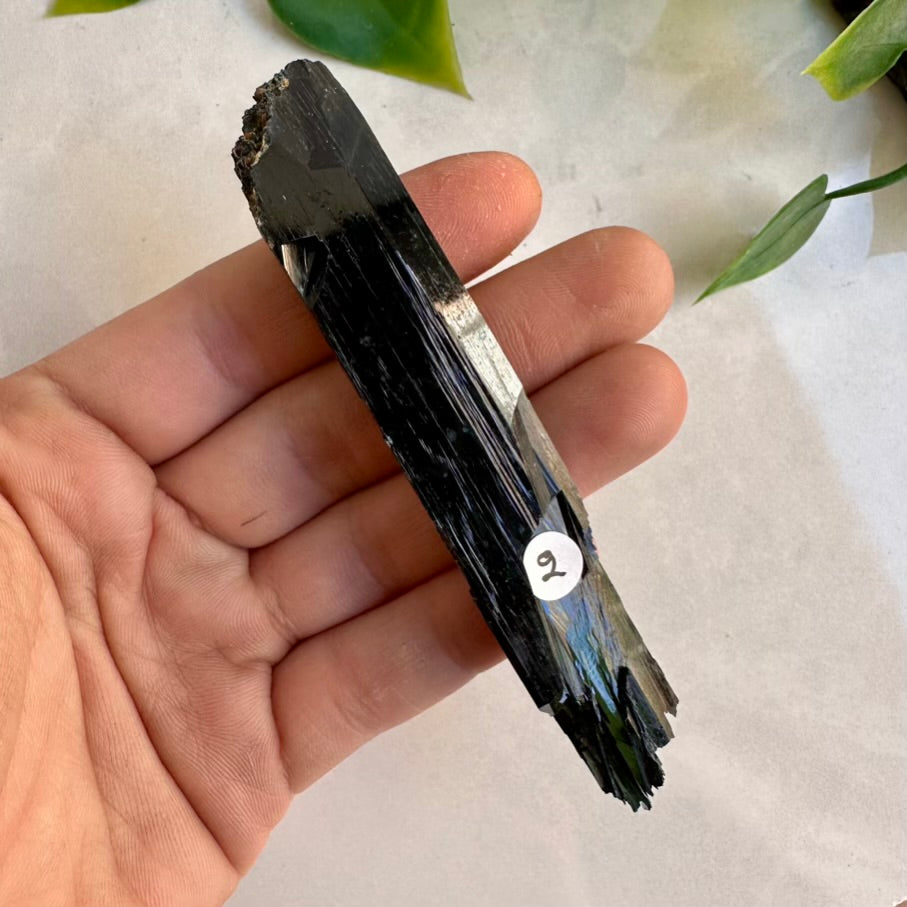 Large Vivianite crystal blade natural green healing specimen