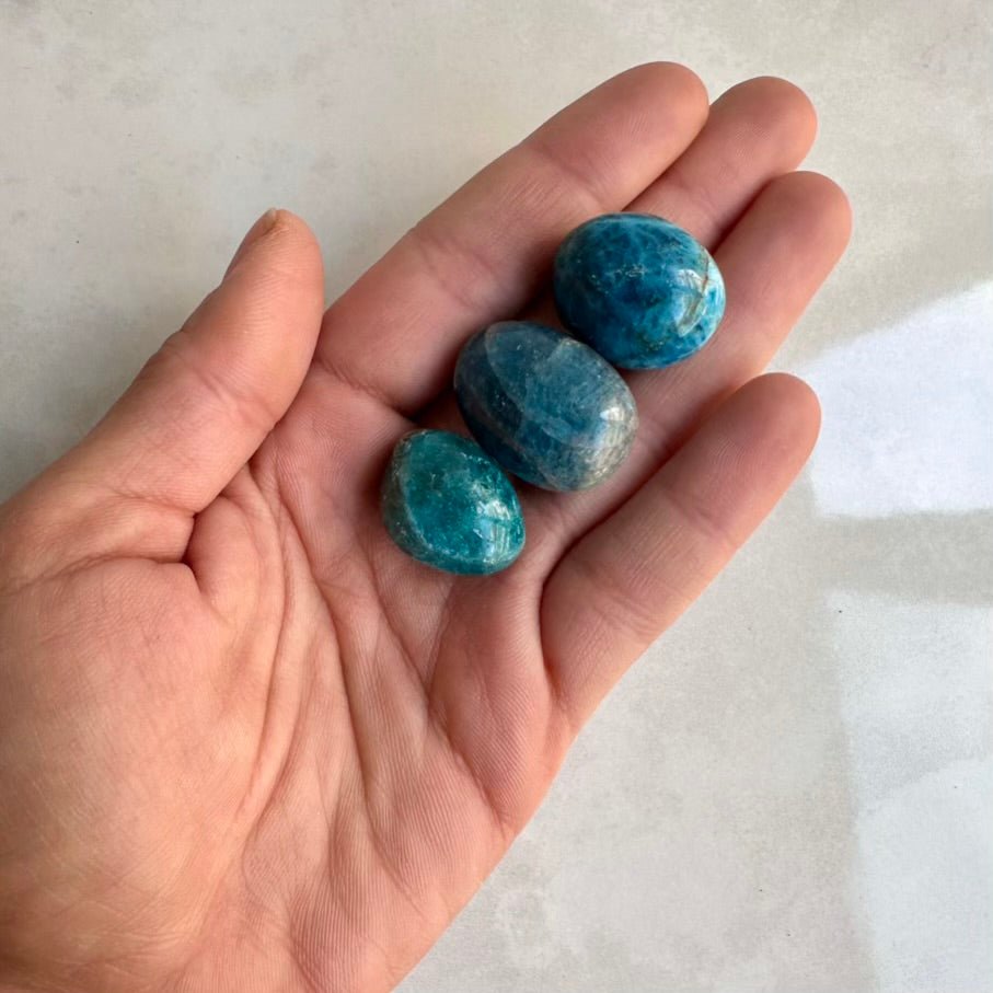 Blue Apatite Stone – Natural Polished Crystal for Motivation, Clarity & Manifestation (1 or 5 Pieces) - FairyGardenGlow