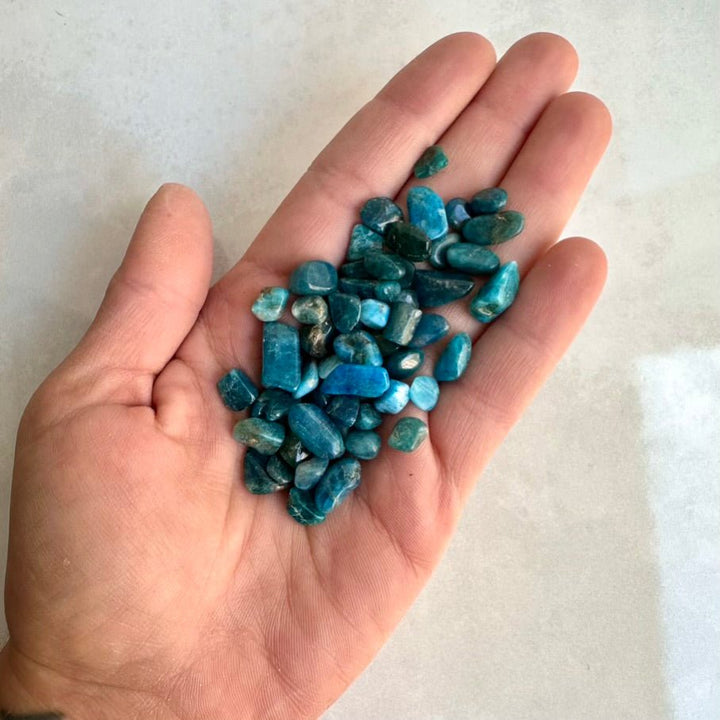 Blue Apatite Chips – Natural Blue Apatite Stones Lot, Healing Crystals for Manifestation & Inspiration - FairyGardenGlow