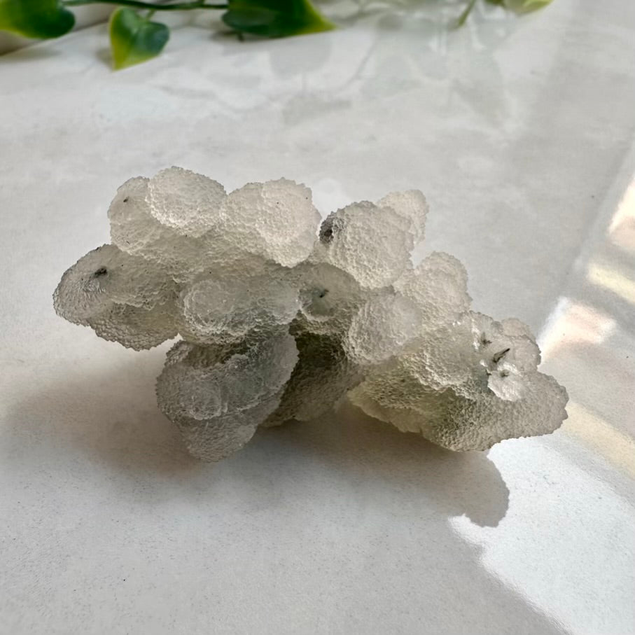 Grey Chalcedony Specimen – Unique Natural Chalcedony Cluster for Calm, Balance & Harmonizing Energy - FairyGardenGlow