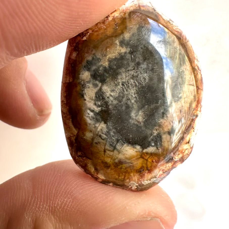 Petrified Wood Specimen – Natural Small Fossilized Wood for Grounding, Stability & Earth Energy - FairyGardenGlow