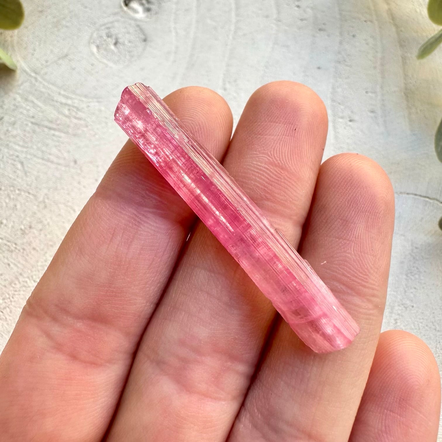 Natural pink tourmaline crystal display specimen