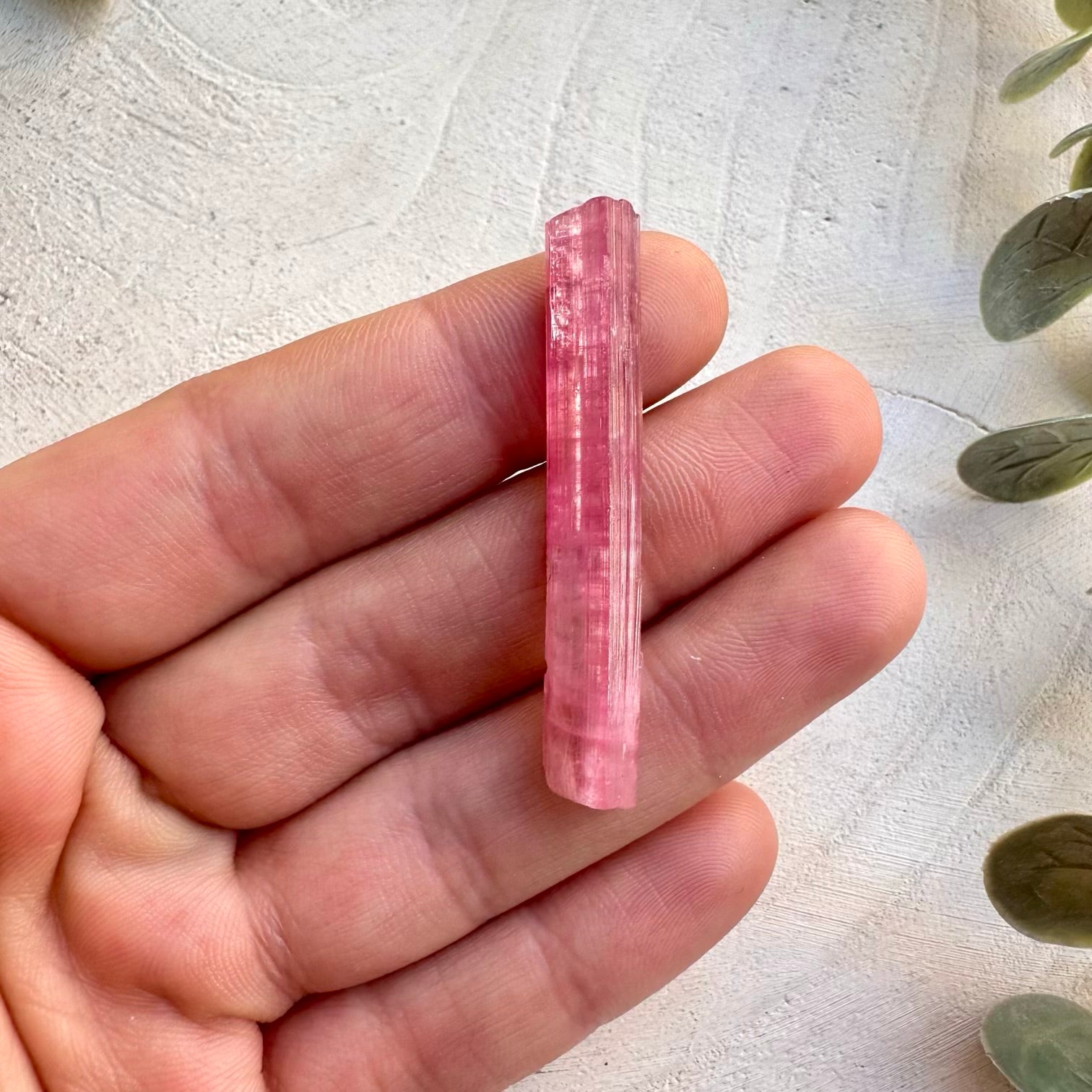 Natural pink tourmaline crystal specimen