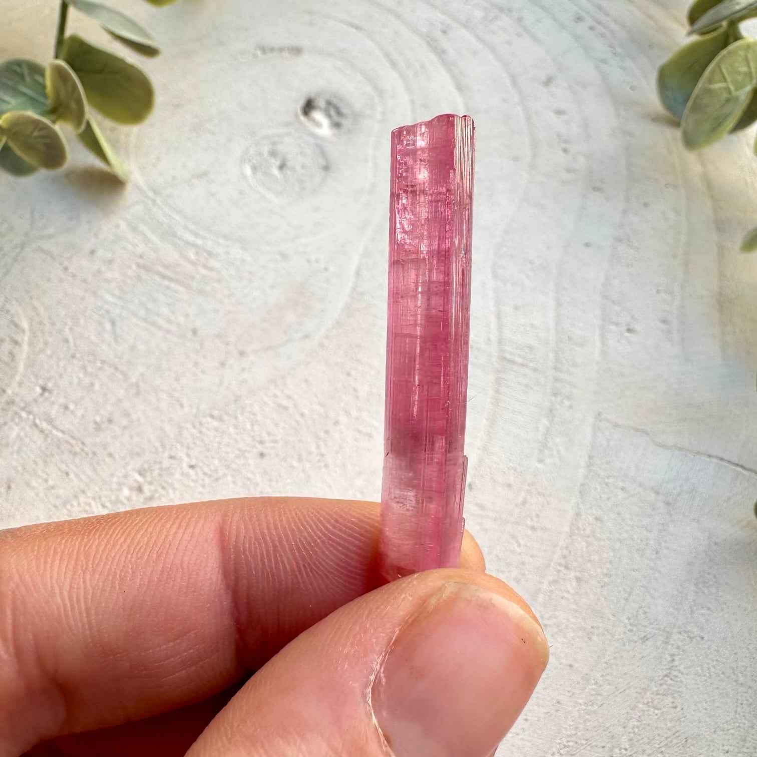 Natural raw pink tourmaline crystal specimen