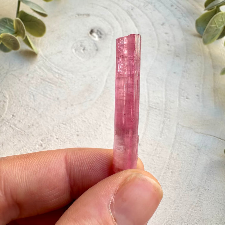 Natural raw pink tourmaline crystal specimen
