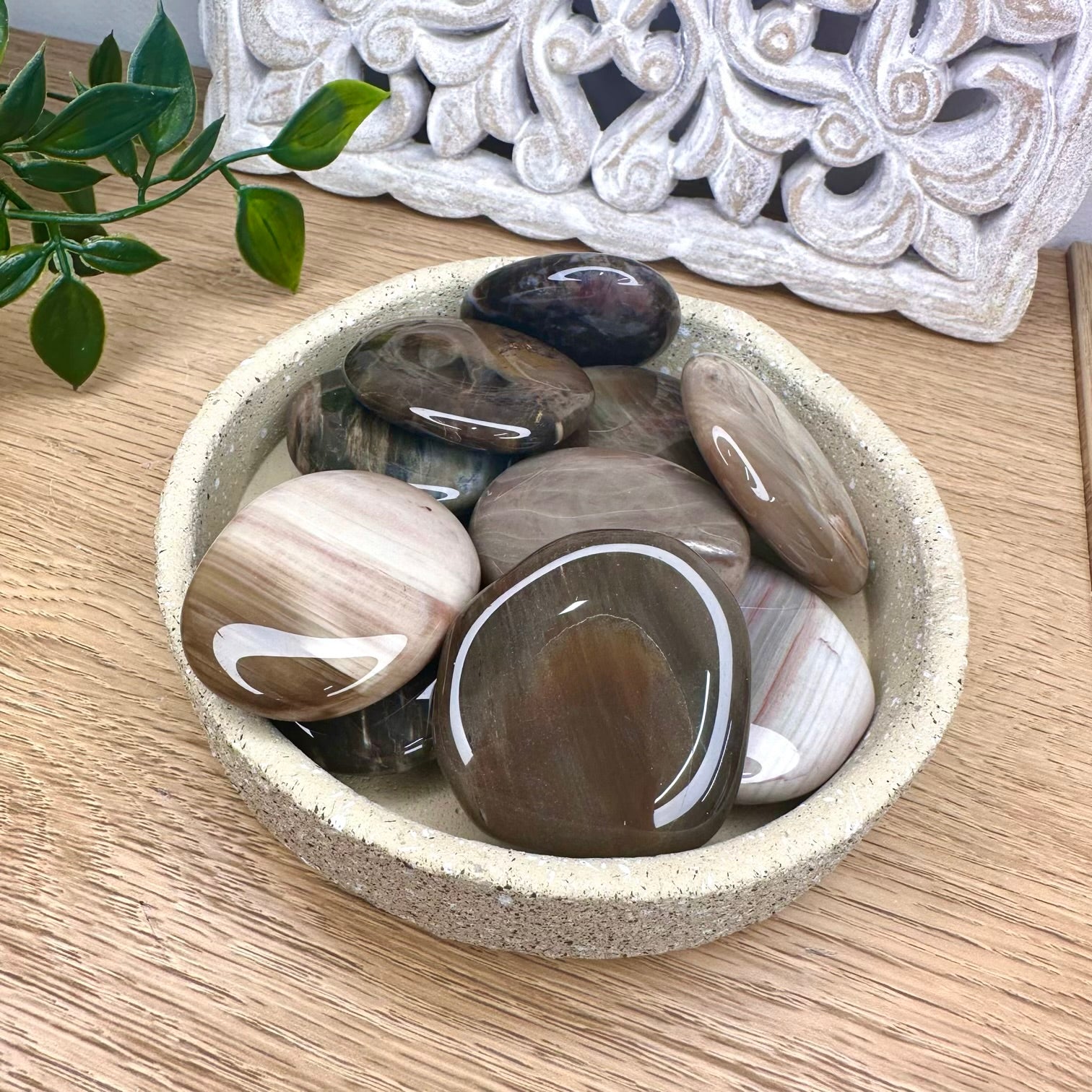 Polished petrified wood crystal for spiritual wellness