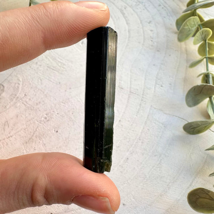 Green tourmaline crystal mineral specimen