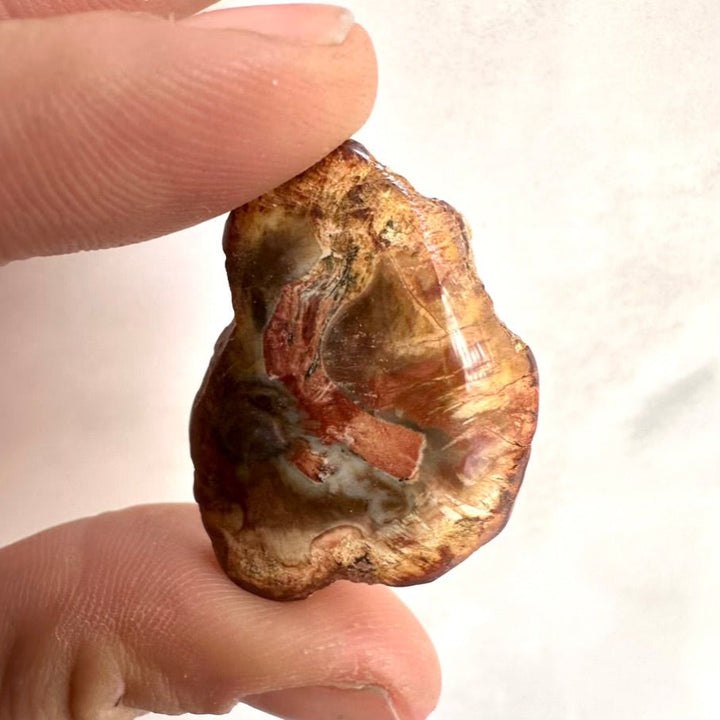 Petrified Wood Specimen – Natural Small Fossilized Wood for Grounding, Stability & Earth Energy - FairyGardenGlow