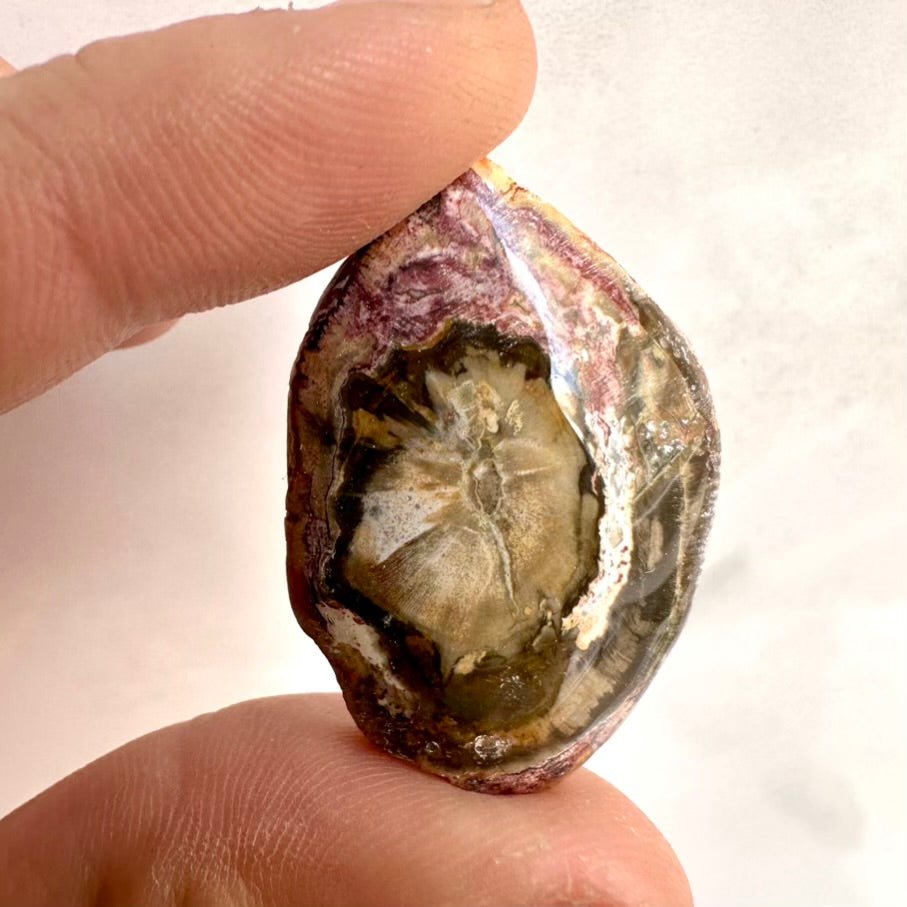 Petrified Wood Specimen – Natural Small Fossilized Wood for Grounding, Stability & Earth Energy - FairyGardenGlow