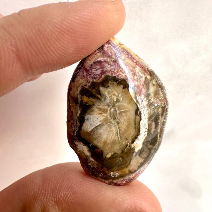 Petrified Wood Specimen – Natural Small Fossilized Wood for Grounding, Stability & Earth Energy - FairyGardenGlow