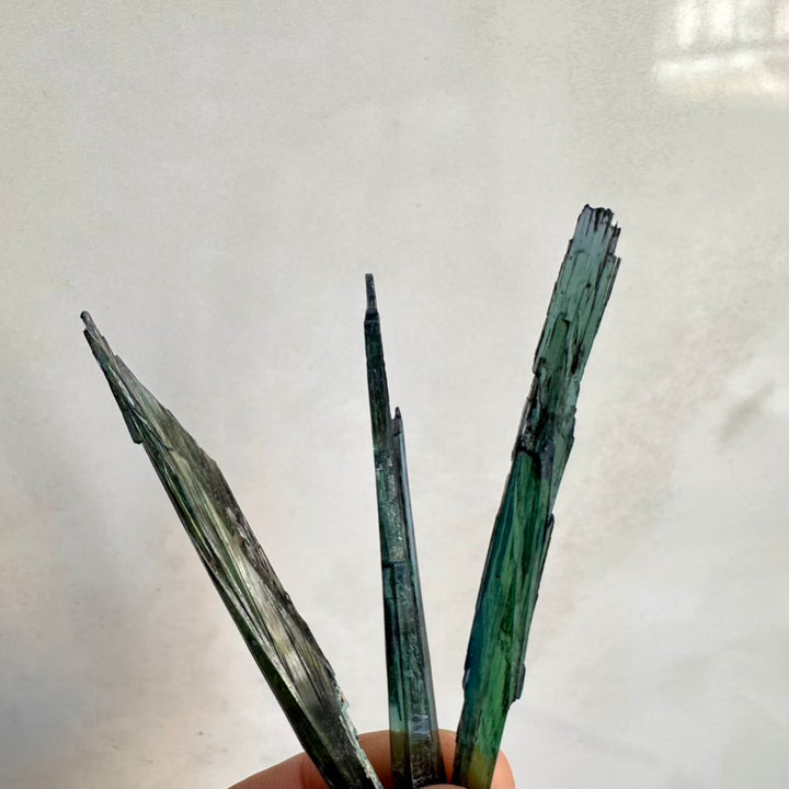 Vivianite mineral – thin blade crystal with natural green tones